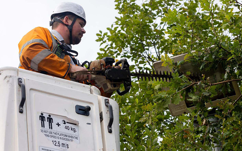 Grounds Maintenance Services